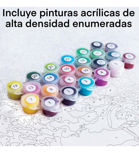 Pintura Con Números En Bastidor 40x50 - Volcán Osorno Mágico