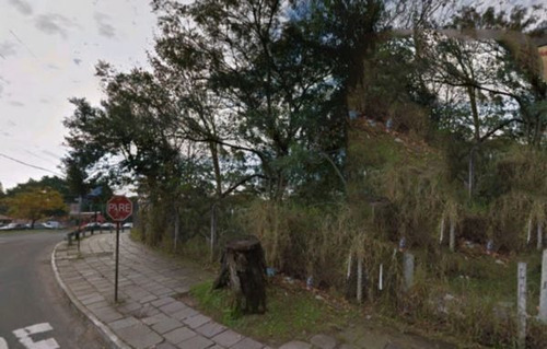 Imagem 1 de 2 de Terreno - Vila Nova - Ref: 195350 - V-mi11271