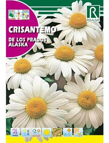 Sobre De Semilla Crisantemo Del Los Prados 3 Grs.