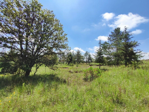 Terreno En Venta En Amealco