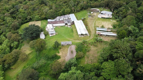 Imagen 16 de 22 de N.m. Finca En Venta En Capacho