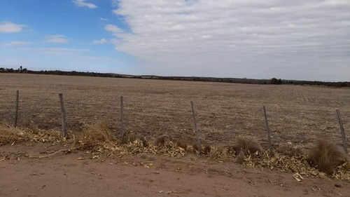 Imagen 13 de 14 de Vendo Campo 320 Hectáreas
