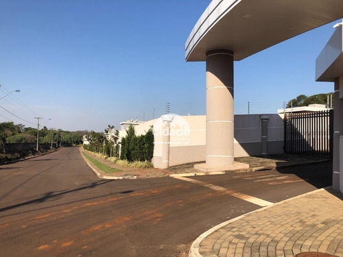 Imagem 5 de 11 de Terreno Em Condomínio À Venda, Jardim Maria Luiza - Cascavel/pr - 12577