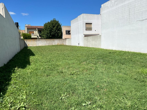 Lote Único En Barrio Escribano