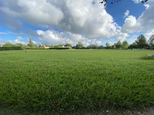 Terrenos En Venta Santa Apolonia - Cerrillos