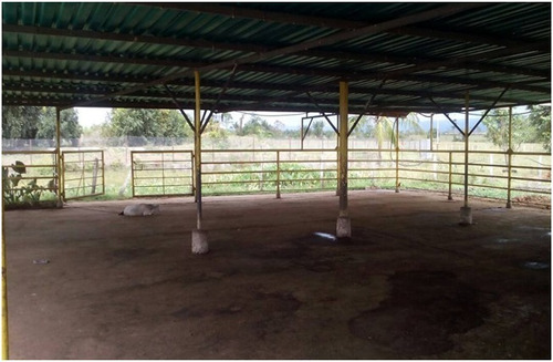 Imagen 4 de 8 de Se Vende Finca Vía Caripito, Sector Tropical Ve02-500vc-lm