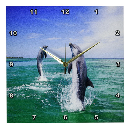 3drose Dpp__2 Mullared Dolphins, Mar Caribe - Na02 S