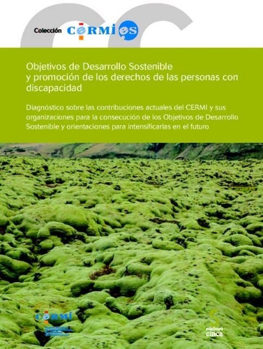 Objetivos De Desarrollo Sostenible Y Promociãâ³n De Los Derechos De Las Personas Con Discapacidad, De Aa.vv. Editorial Ediciones Cinca, S.a., Tapa Blanda En Español