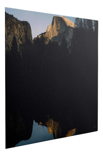 Lienzo Sombras Profundas En Un Lago Oscuro 70x70