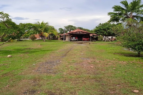 Imagen 10 de 14 de Zch Asein P1447 Vende Mini-finca En El Sector El Encanto En Tocuyito.municipio Libertador. Estado Carabobo