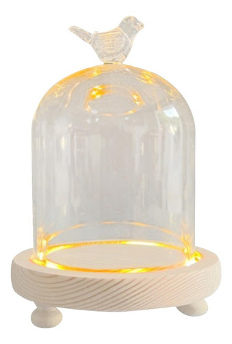 Cristal Transparente Cloche Dome Showcase 9x11cm Pájaro