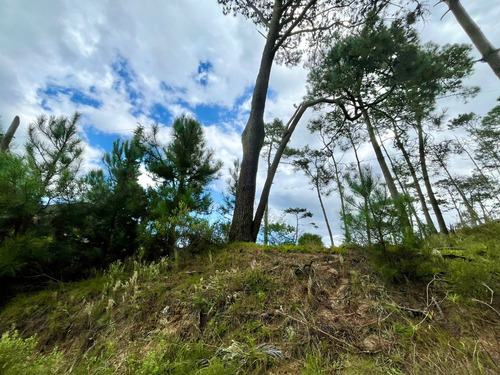 Terreno En Venta En Montoya, La Barra, Uruguay