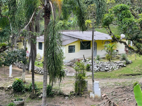 Chácara - Em Pedro De Toledo-sp, Sua Melhor Opção - Ref 598