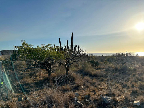 Lot 1 Mz 9 Federal Highway, Lote Migriño