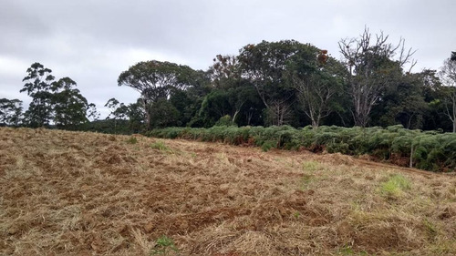 (k.a) 500m² Em Sp - Topografia Plana 500m²