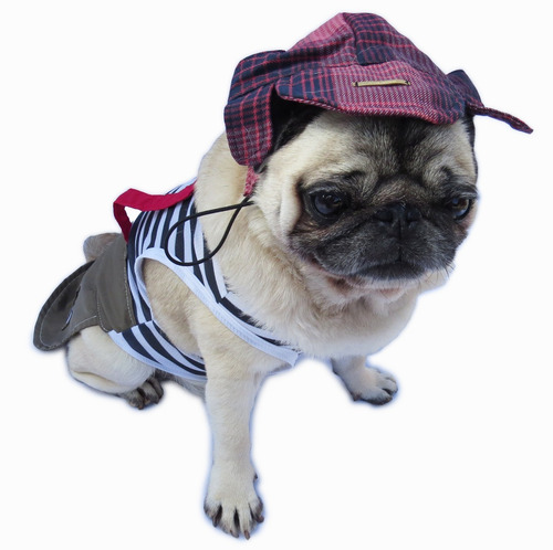 Imagem 4 de 9 de Roupa De Cachorro/ Gato Fantasia Tipo Chaves