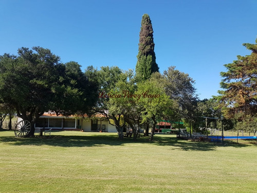 Venta De Chacra 46 Has Y Media Las Cañas Con Muy Buena Produccion De Olivos - Ref: 18579