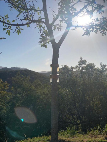 Imagen 7 de 7 de Terreno - Estancia El Terrón