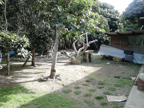 Venta Finca Terreno 5000 M² En Juana Moza Tuxpan Veracruz