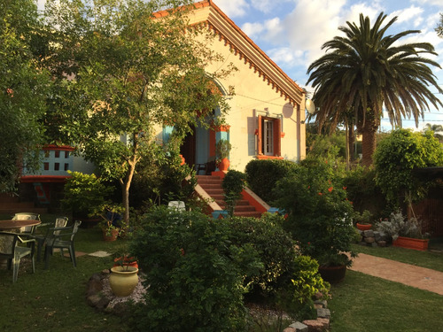 Casa Linda En Alquiler En Piriapolis. Cerca Del Mar, Del Centro Y Del Puerto. Hermoso Parque.