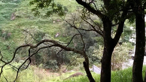 Imagem 12 de 15 de Terreno Para Venda, 7090.0m² - 27777