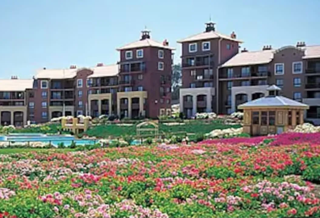 Imagen 1 de 11 de Venta Departamento Amoblado, Condominio Illimay Las Cruces