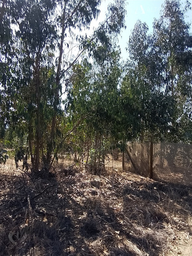 Parcela Condominio En Las Gaviotas Mantagua A 4km Concon