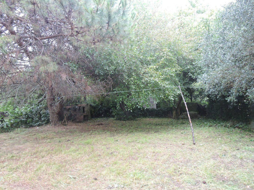 Imagen 5 de 9 de Casa En Punta Indio