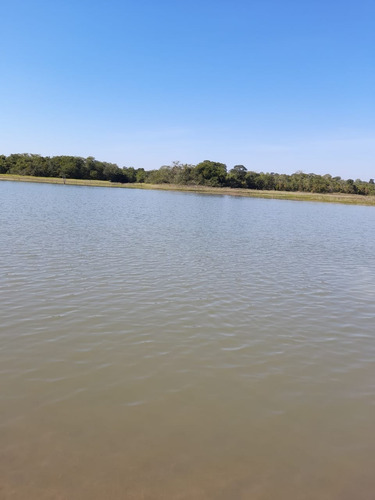Imagem 1 de 11 de Fazenda Para Pecuária Venda Em Paranaiba-ms, Com 268 Hectares, Beira Rio Paranaiba, Casa E Varias Benfeitorias, Plana, Terra Mista Avermelhada - Fa00397 - 70075757