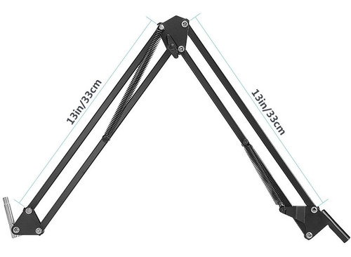 Micrófono Condensador Neewer Nw-800 Sin Phantom W01