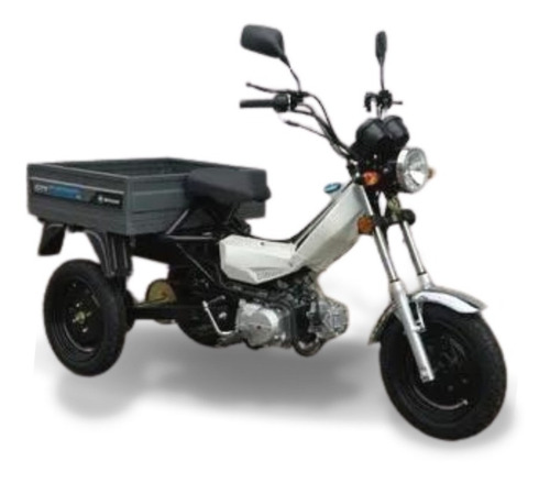 Imagen 2 de 4 de Motomel City Cargo 110 Cc