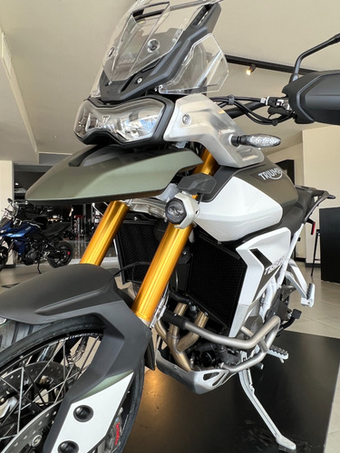 Imagen 5 de 24 de Triumph Tiger Rally Pro 900
