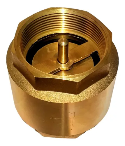 comprar Valvula Check Tipo Europa Bronce 2 Pulgadas Pesado