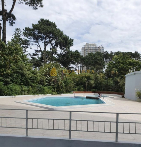 Apartamento En La Av. Roosevelt - Consulte!!!!!!- Ref: 2505