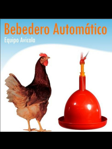 Bebedero Colgante Automático Para Pollo Y Gallina