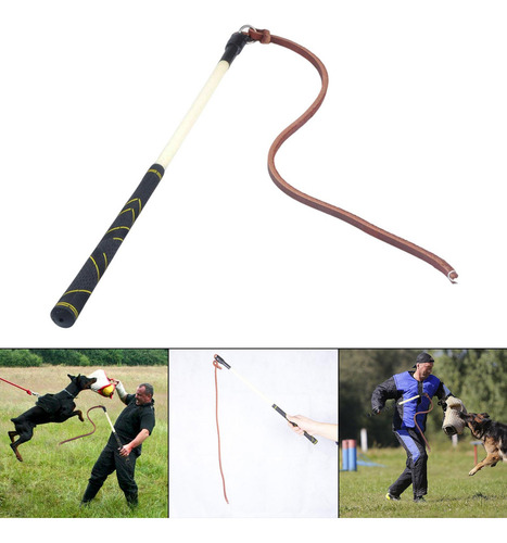 Ejercicio De Cinturón De Látigo De Entrenamiento De Perro