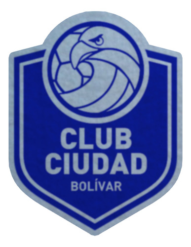 Parche Escudo Felpa Para Coser 9cm Set X4 Futbol Arg002 Ciudad Bolivar Ciudad Bolivar