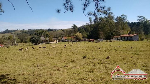 Imagem 15 de 15 de Plana Em Santa Branca Divida Com Guararema Com Riacho Fundos - 942