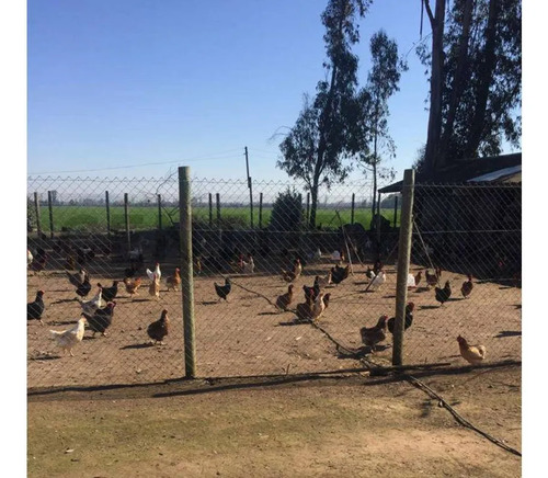 Venta Parcela Agroresidencial Chillán, San Nicolás