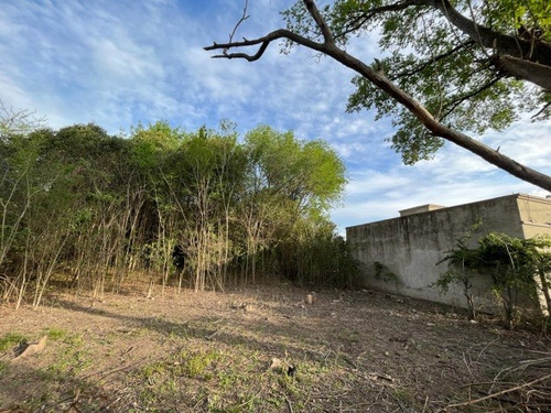 Lote: B° Lanusse
