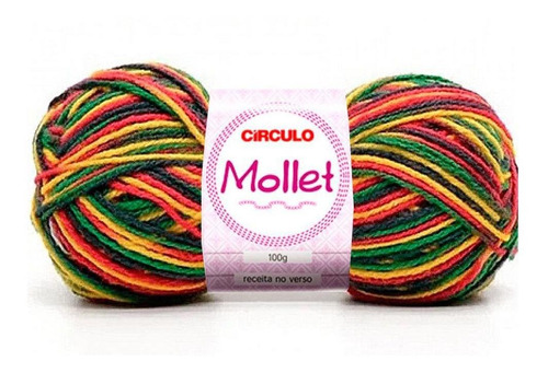 Lã Mollet Círculo Cor Mesclada 100g - 9294