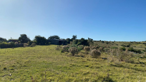 Imagen 8 de 30 de Se Vende Campo De 77 Has En Maldonado. A Pocos Km De Aiguá En Zona De Ruta 39. Ubicación Privilegiada!