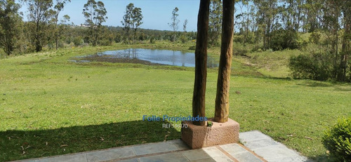 Imagen 5 de 26 de Piriapolis Venta De Muy Buen Chacra 5 Has Cw148170