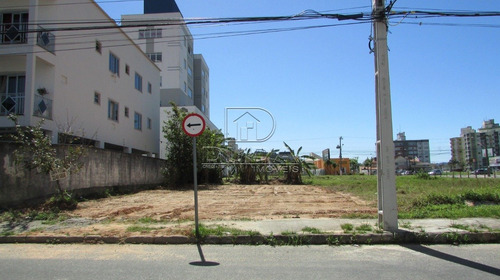 Imagem 6 de 10 de Terreno - Passa Vinte - Ref: 27226 - V-27225