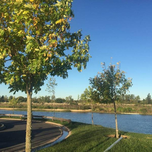 Imagen 7 de 18 de Lote En Venta,,el Mejor Precio Del Barrio, Venta | Yacht Club - Nordelta