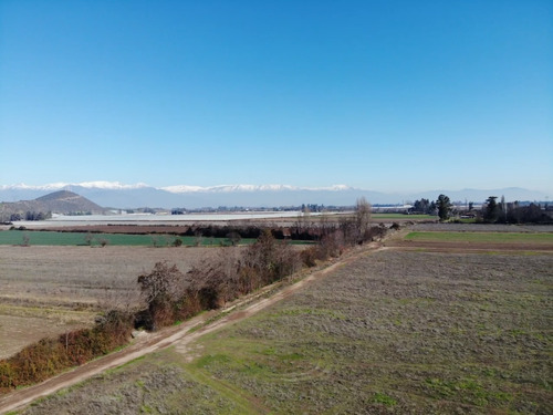 Venta De Campo En Buin Id 47.793-cam