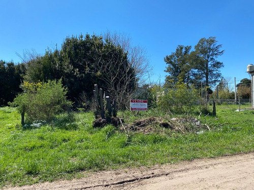 Imagen 2 de 4 de Lote En Venta En Barrio Parque