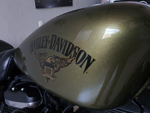 Imagen 12 de 12 de Harley Davidson Sportster Iron 883