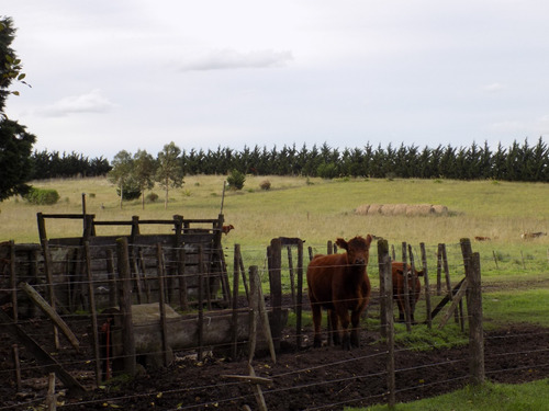 Casa Quinta, De 4 Hectareas Con 2 Viviendas Con Cochera, Deposito, Parque Y Parrilla