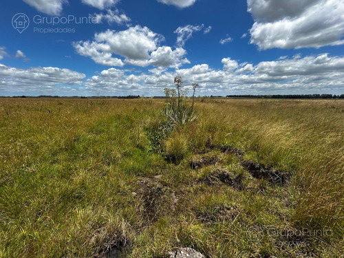 Campo En Venta - Rocha